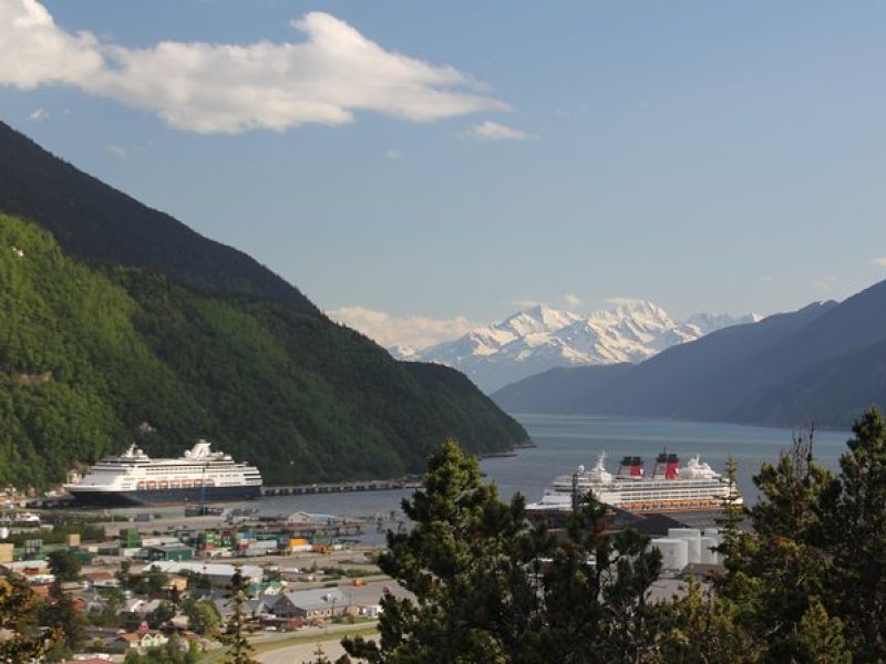 City and Mountain Summit Shore Excursion in Skagway