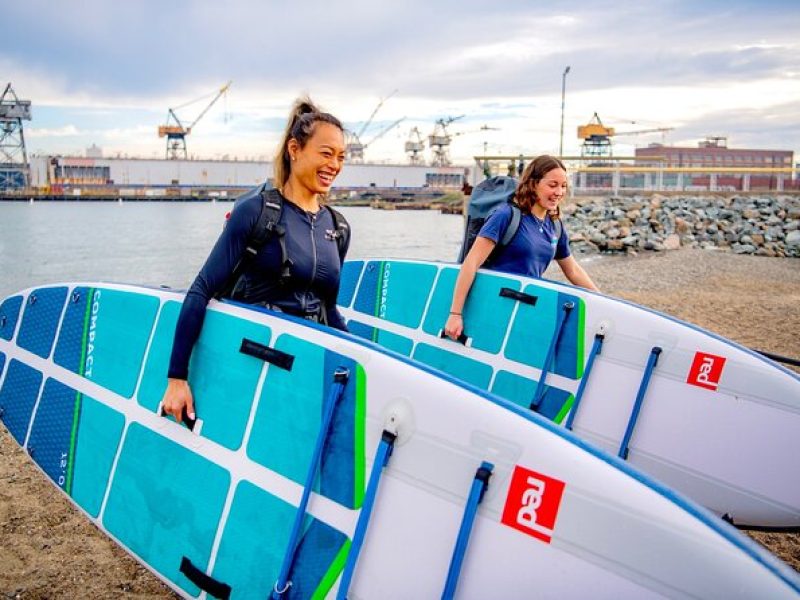 Learn to Paddle Board on the San Francisco Bay!