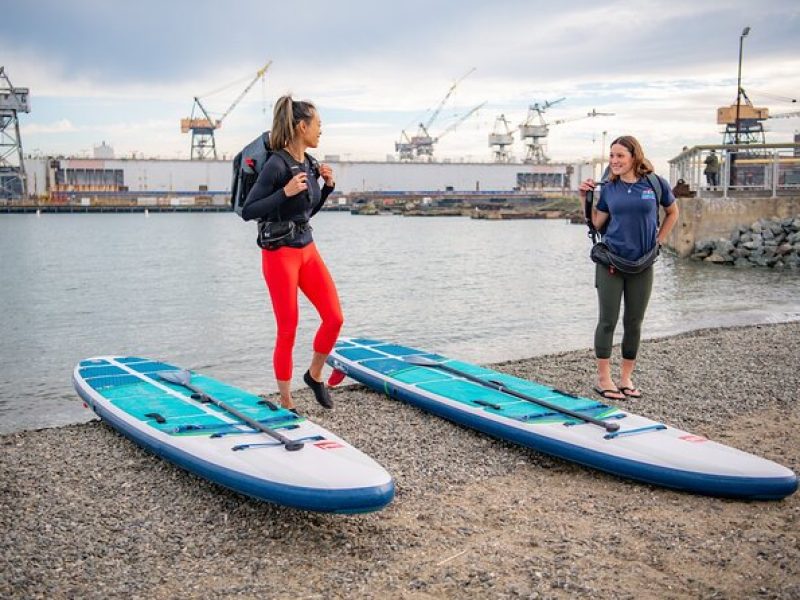 Kayak Or Paddle Board Tour on the San Francisco Bay