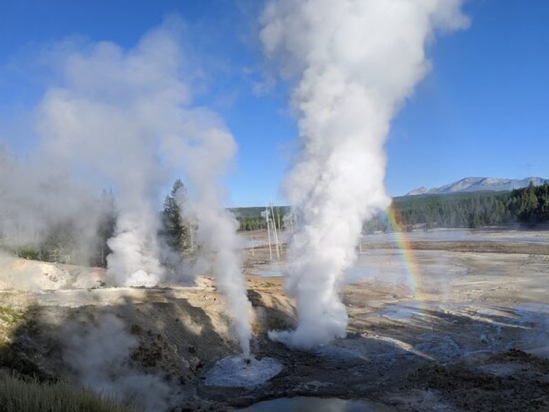 Full-Day Yellowstone Upper (Northern) Loop Tour