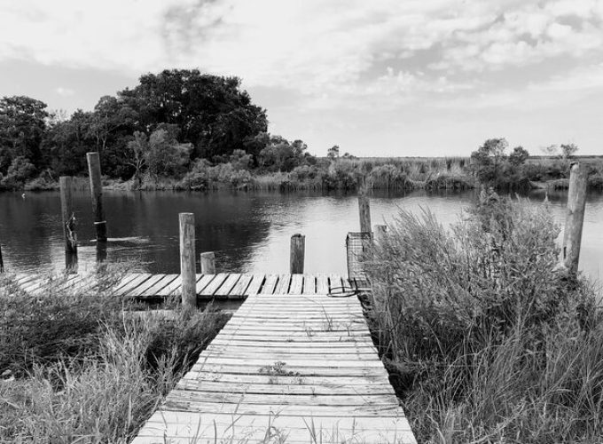 Historical Haunted Bayou Cruise