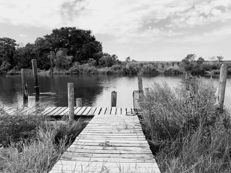 Historical Haunted Bayou Cruise