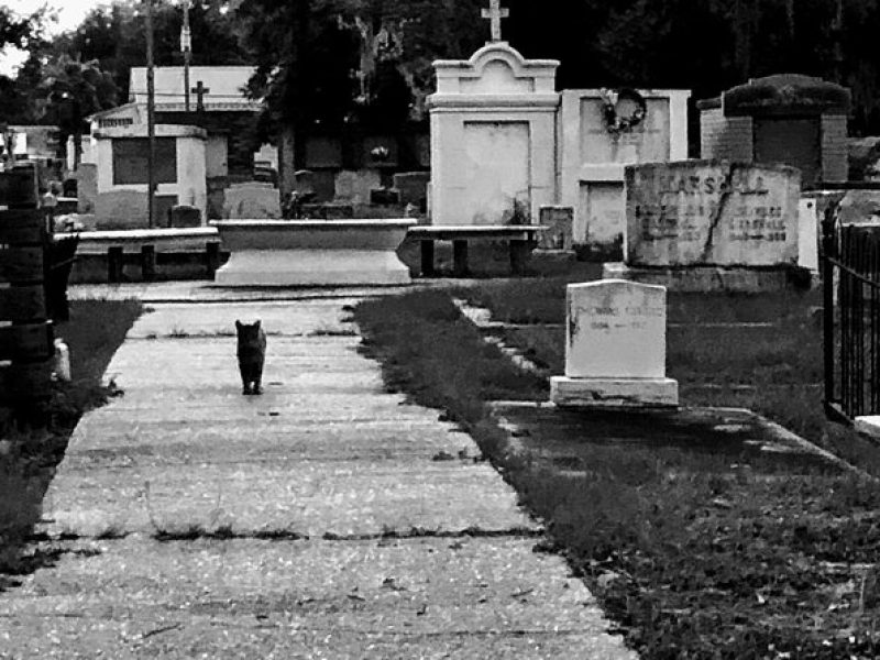 Historic Ghost Cemetery Walking Pub Crawl Of Bay St. Louis