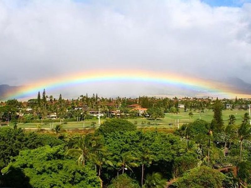 Discover Lahaina: Self-Guided Audio Tour