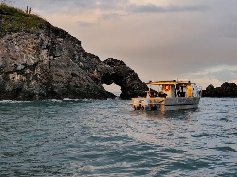 Kachemak Bay Wildlife Tour