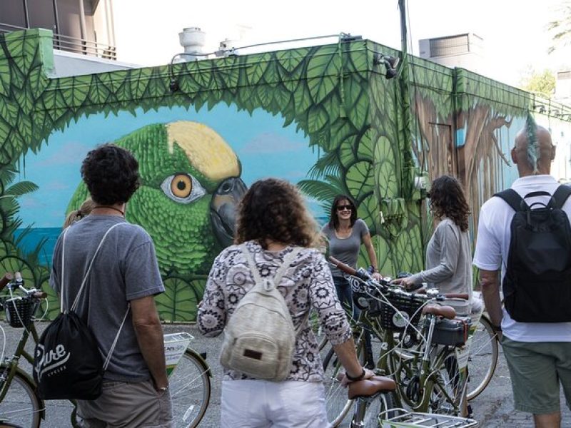 St Pete Awesome Mural Biking Tour