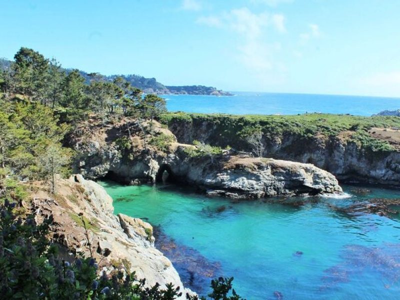 Point Lobos – A Private Charming Ocean Tour