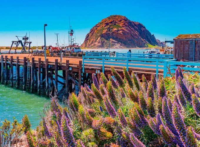 Morro Bay: Private 2 Hour Stroll & Savory Delights Tour