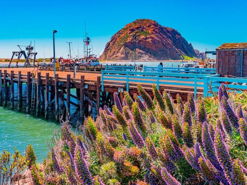 Morro Bay: Private 2 Hour Stroll & Savory Delights Tour