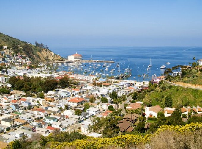 Catalina Island Avalon Highlights Walking Tour