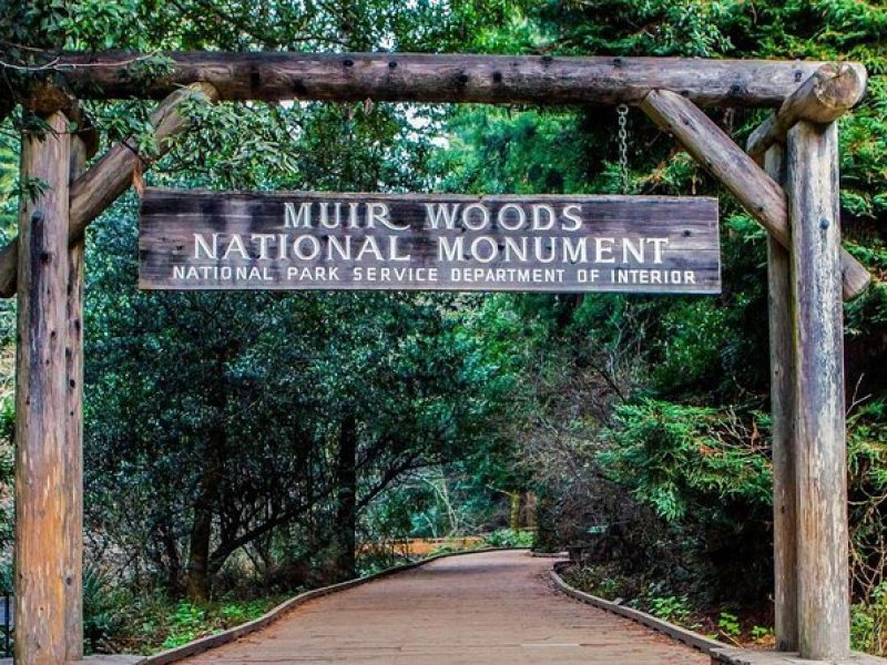 Private Walking Tour in Muir Woods and Tickets