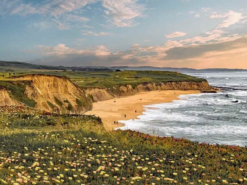 Private Half Moon Bay Coastal Delights Driving Tour