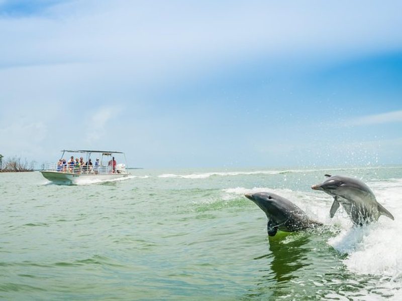 Marco Island Dolphin Sightseeing Tour