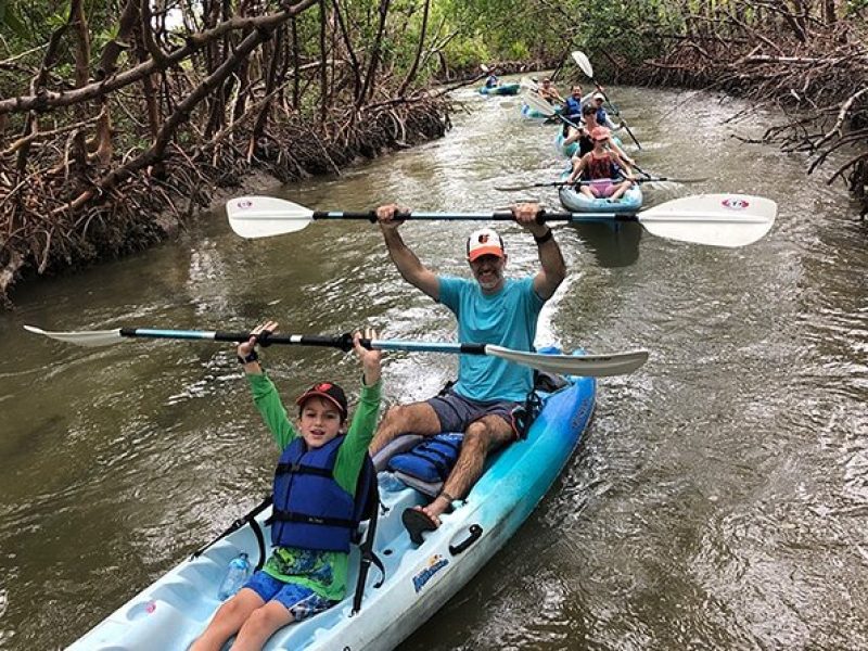 Guided Kayak Mangrove Ecotour in Rookery Bay Reserve, Naples