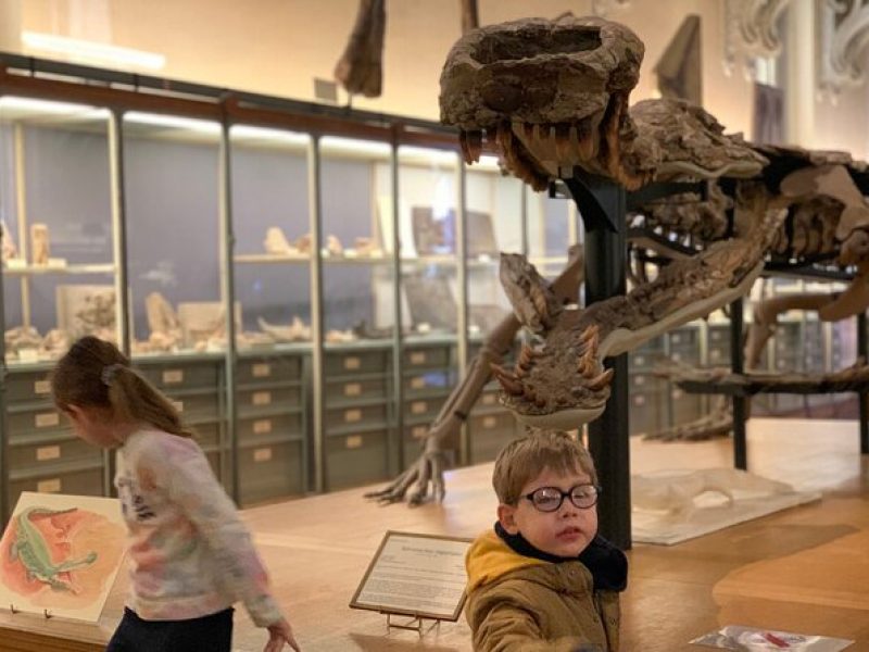 Washington DC Museum of Natural History Private Family tour