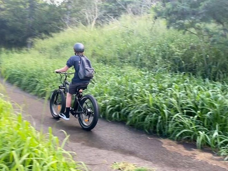 West Maui: Self-Guided E-Bike Kapalua Jungle Adventure Tour