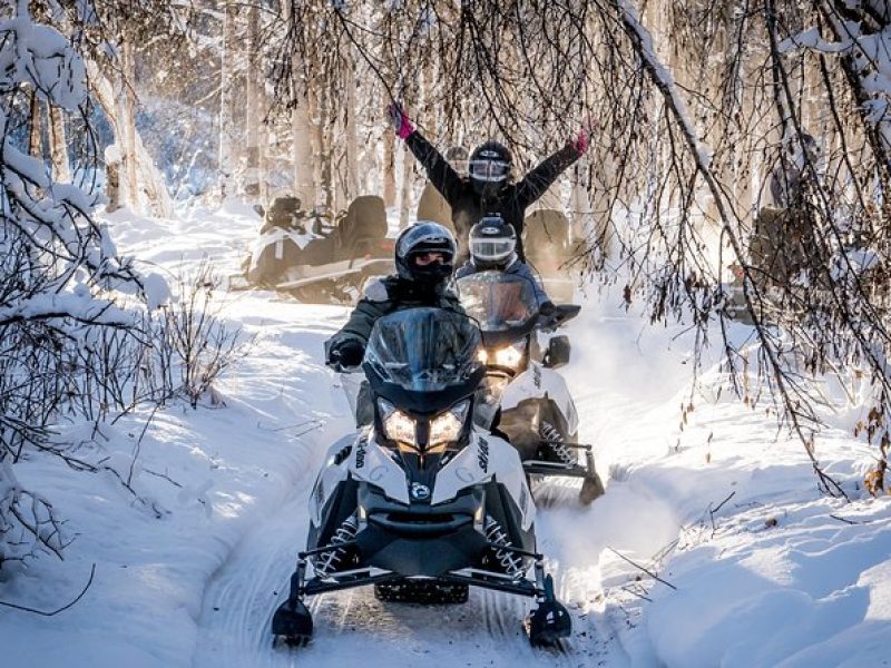 Guided Fairbanks Snowmobile Tour