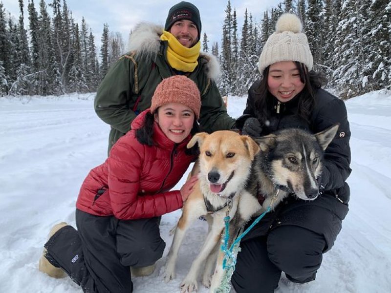 Dog Sledding and Mushing Experience in North Pole