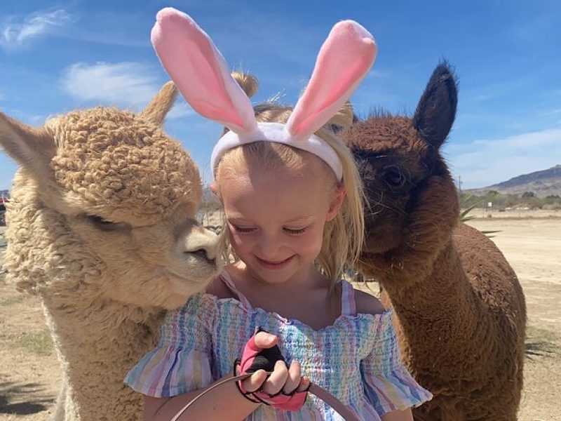 Tickets to Nature Health Farms Petting Zoo, Antique Store & Hemp Farm in Pahrump