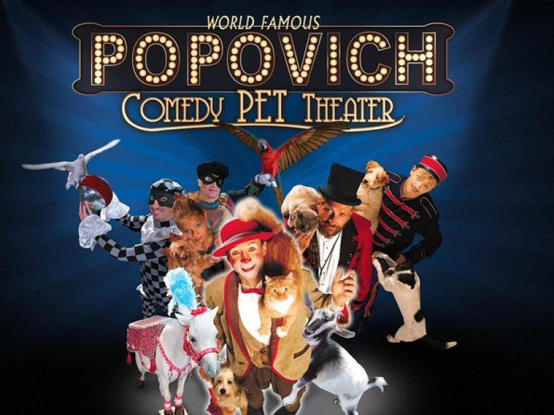 Popovich Comedy Pet Theater at Planet Hollywood Resort and Casino