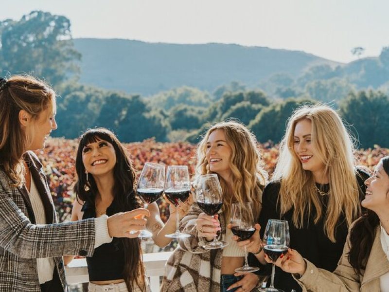 Small Group: Ultimate Napa and Sonoma Wine Tour- San Francisco