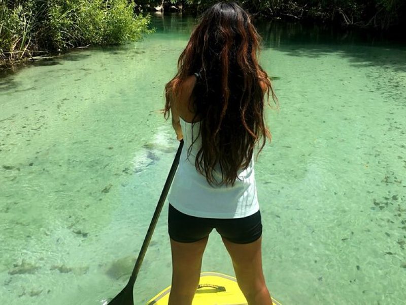 Nature Stand Up Paddle Boarding Experience in Miami