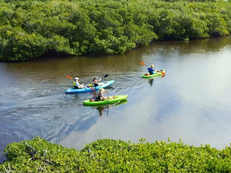 Kayaking the Canals of Venice, FL