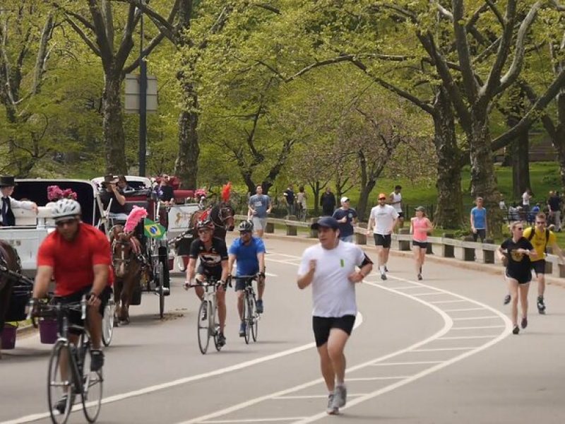 Story Behind Central Park: Manhattan’s Backyard, Wilderness by Design