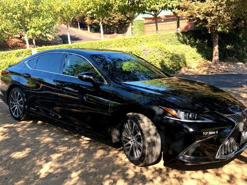 Winery and Vineyard Transportation in Private Black Sedan