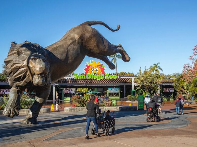 San Diego Zoo 1-Day Pass: Any Day Ticket