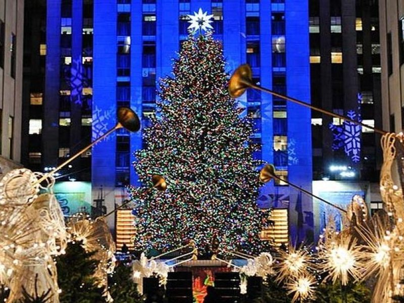 New York Christmas Holiday Small-Group Walking Tour