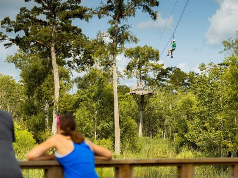 New Orleans Zipline Swamp Tour