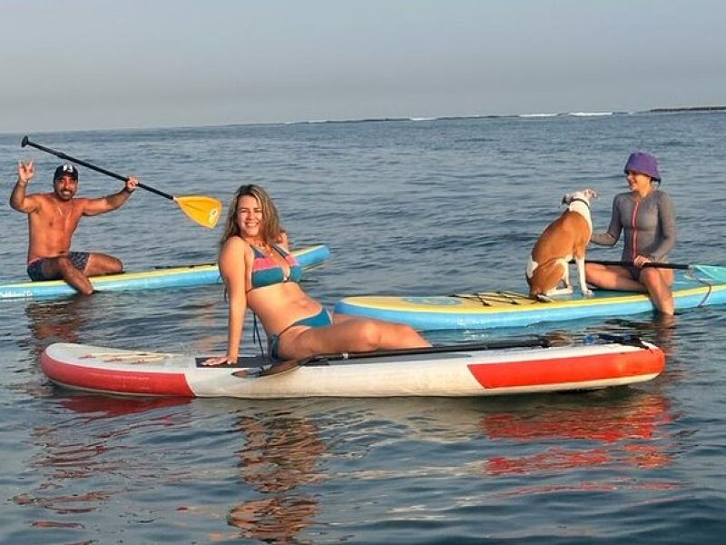 Miami Beach Paddleboard Rental with Instruction