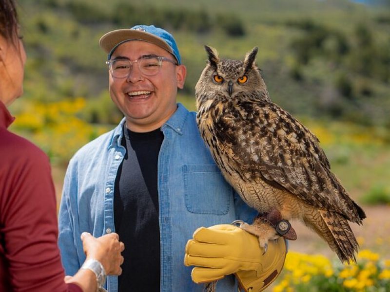 Experience Raptors and Falconry in Reno