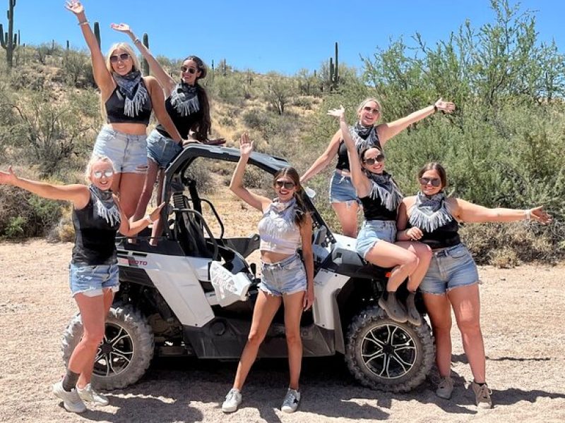 Scottsdale Guided U-Drive UTV Sand Buggy Adventure in the Sonoran Desert