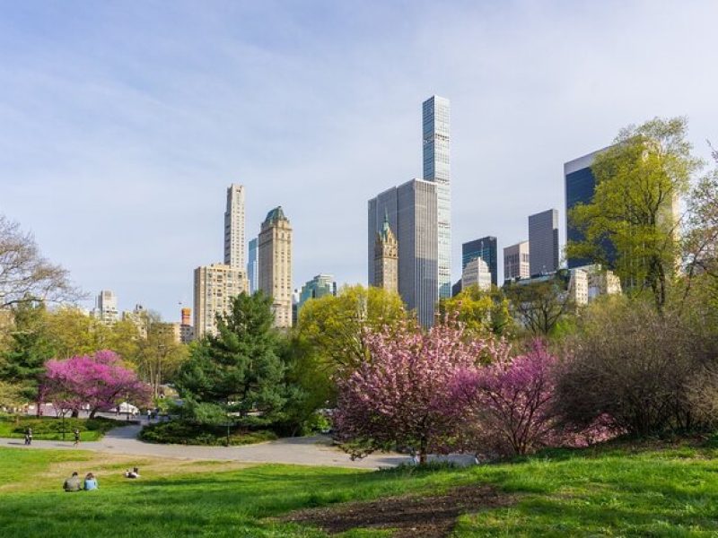 3-Hour Private Guided NYC Central Park Tour with Carrousel Ride