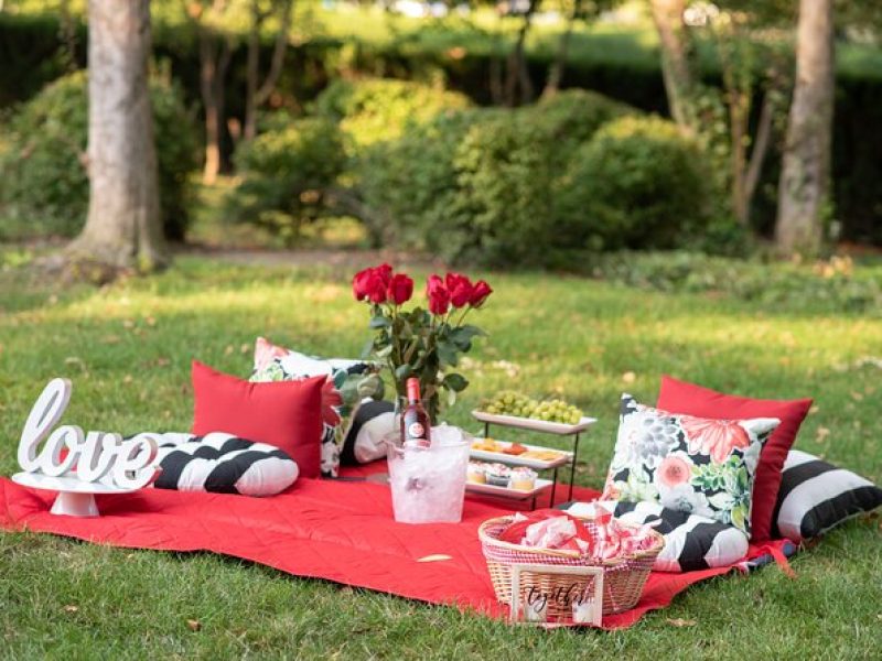 Private Picnic Experience in the Queen City