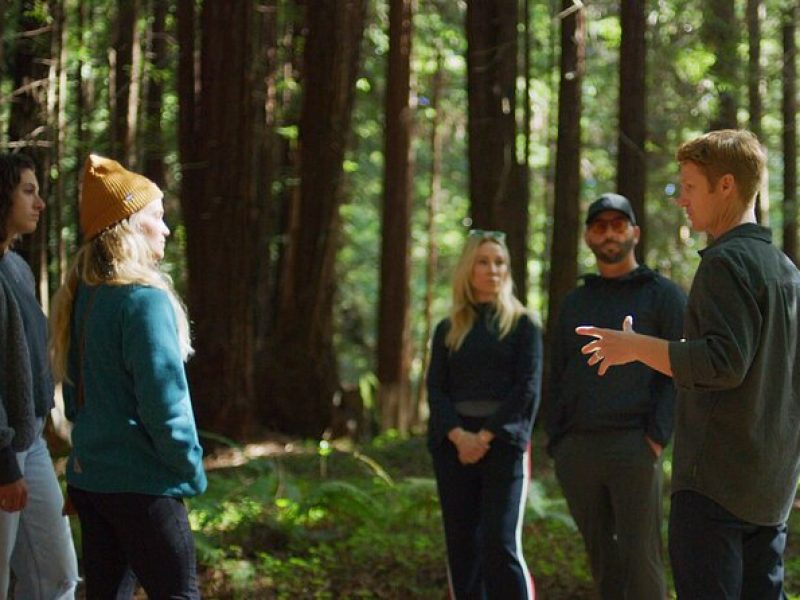 Santa Cruz Redwoods Forest Therapy