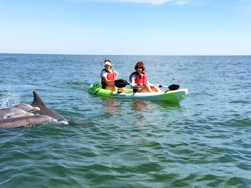 Small Group Dolphin Kayak Eco-Tour