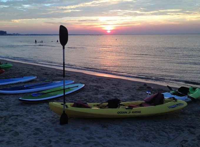 Sunset Dolphin Kayak Tours