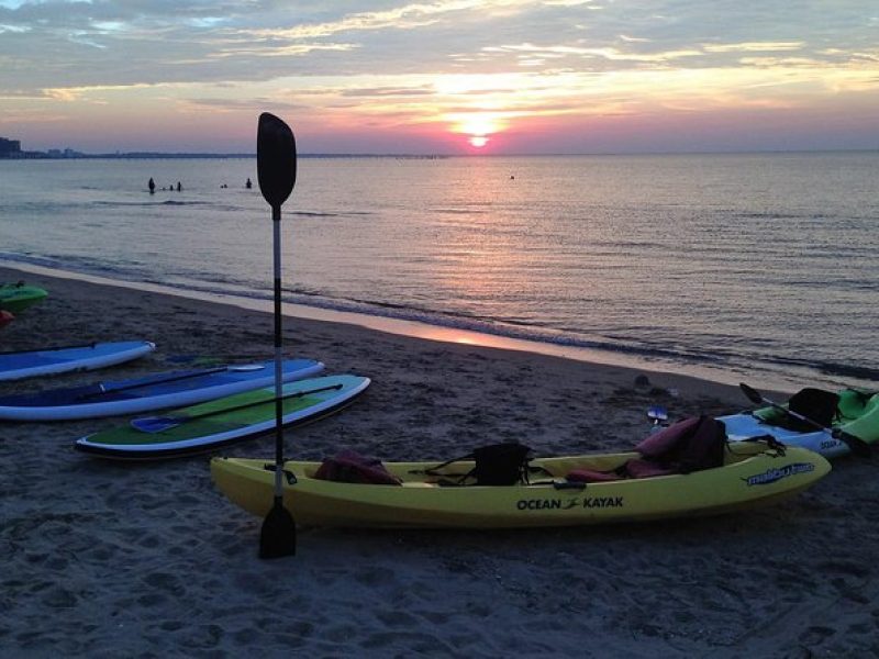 Sunset Dolphin Kayak Tours