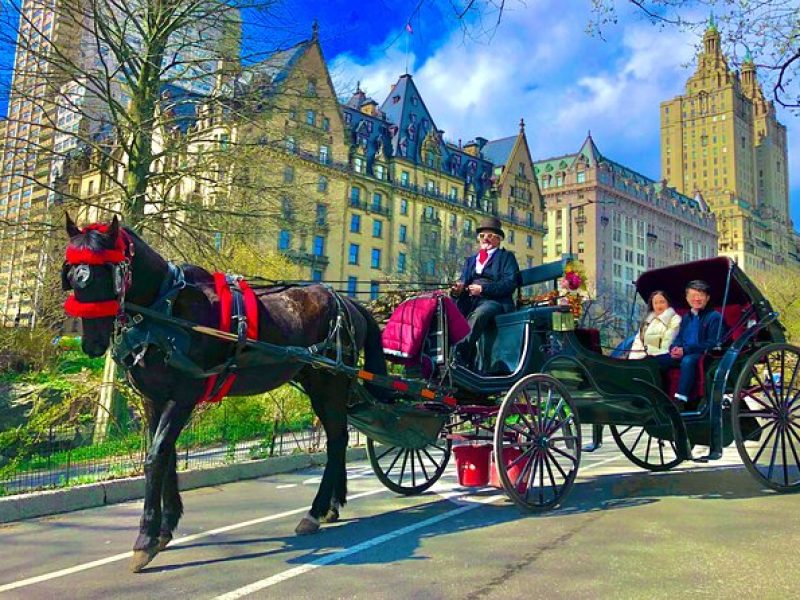 THE VIP CARRIAGE RIDE with photo stops (50min) ~ Skip the line