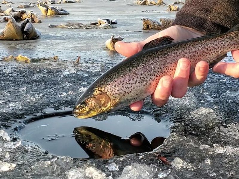 Anchorage Ice Fishing Adventure