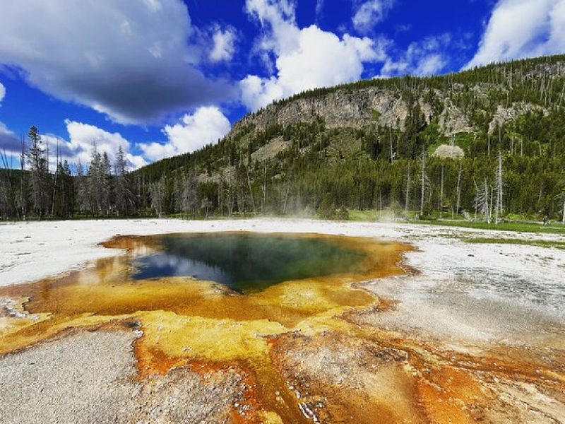 Epic Yellowstone Private Tour