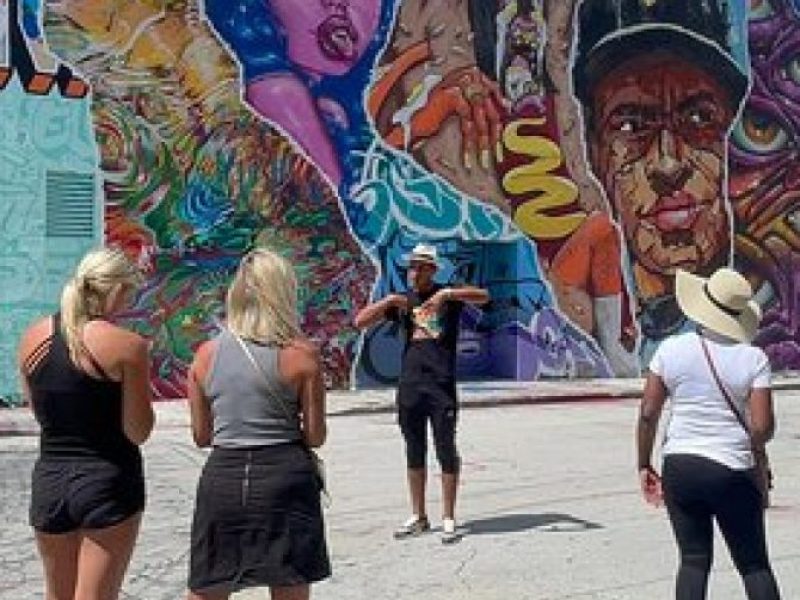 Miami Sightseeing tour, culture, Art, and history