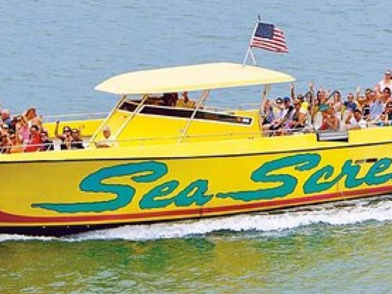 Sea Screamer Boat Cruise in Clearwater Beach with Transport