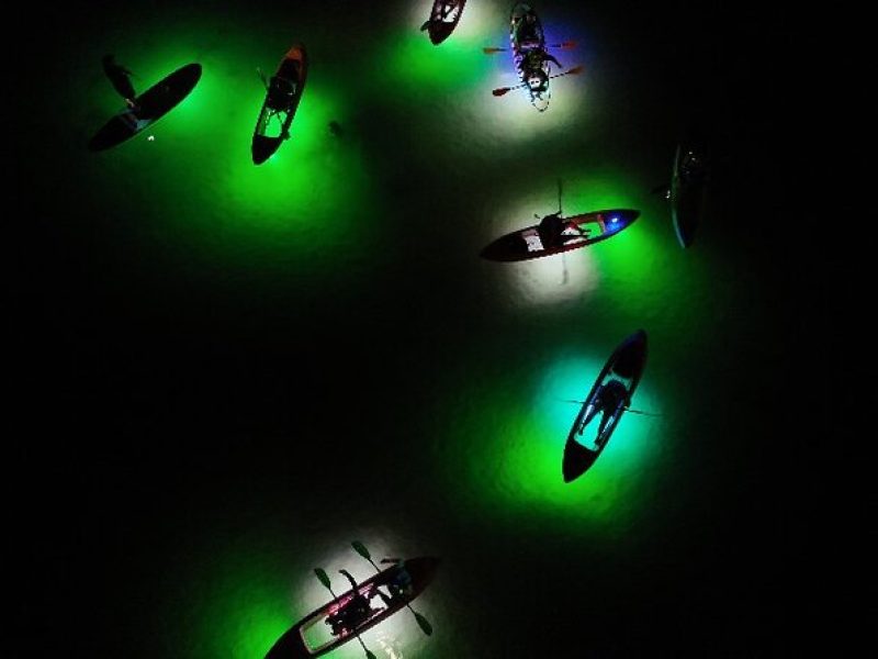 Night Mangroves LED Tour on a Glass Bottom Kayak