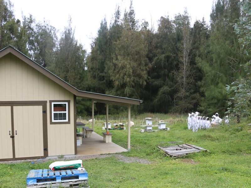 Private 2-Hour Beekeeping Classroom Tour in Honokaa