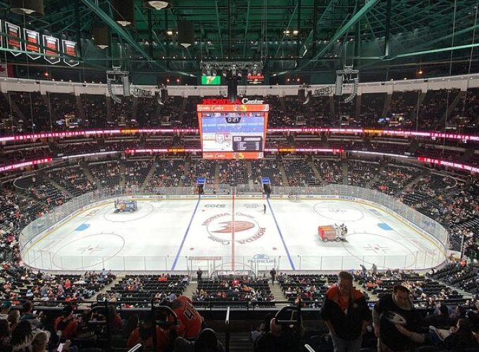 Anaheim Ducks NHL Game Ticket at Honda Center