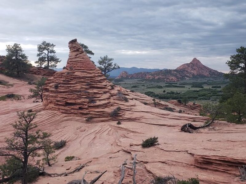 Zion National Park/Kolob Terrace Private 1/2 Day Sightseeing Tour